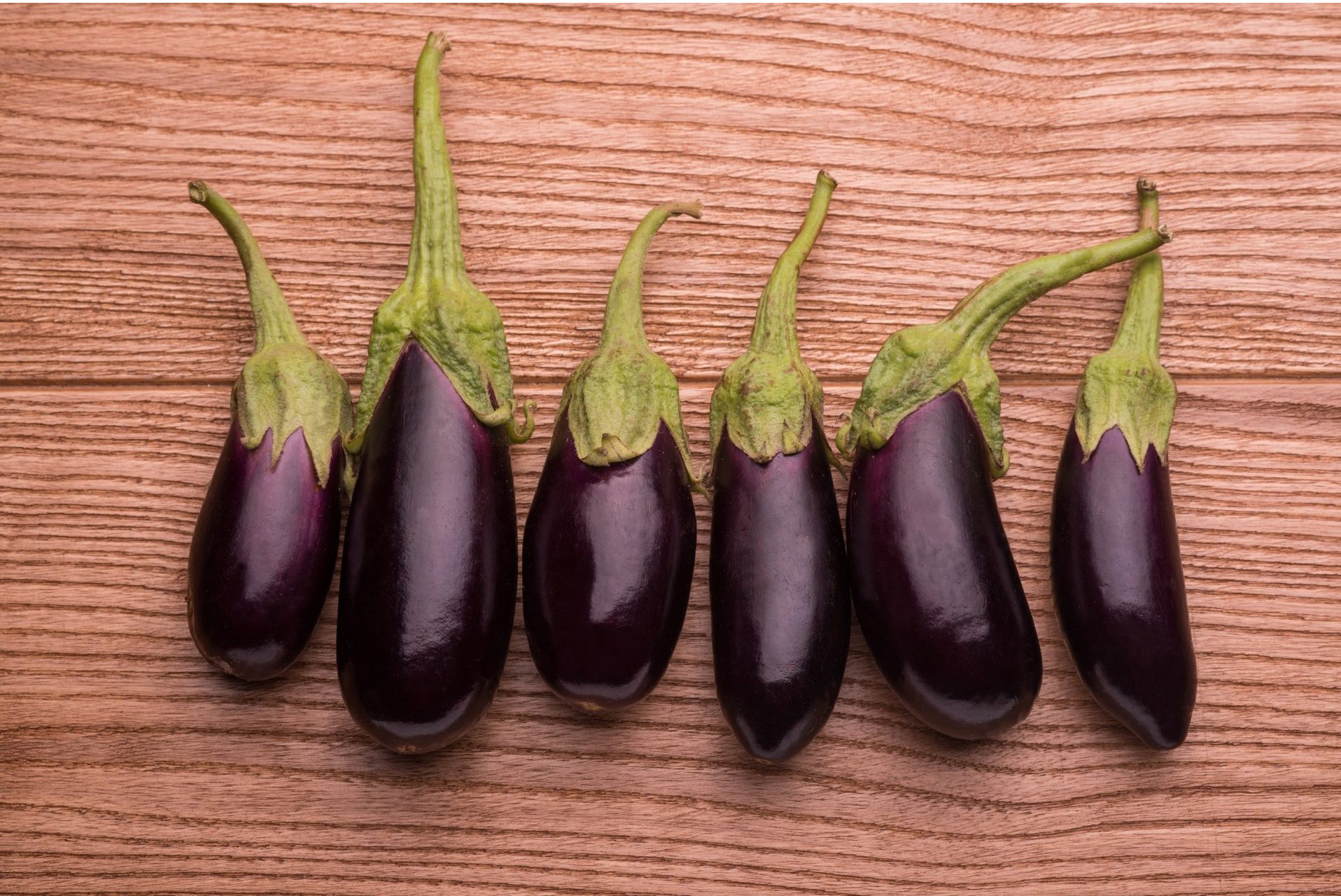FrenchInspired Eggplant Stew Feeding Pennsylvania