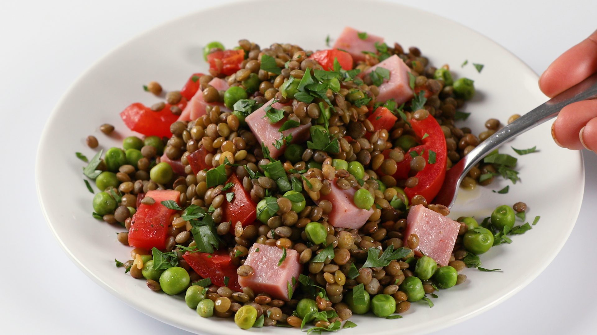 Ham and Lentil Salad with Lemon Vinaigrette Feeding Pennsylvania